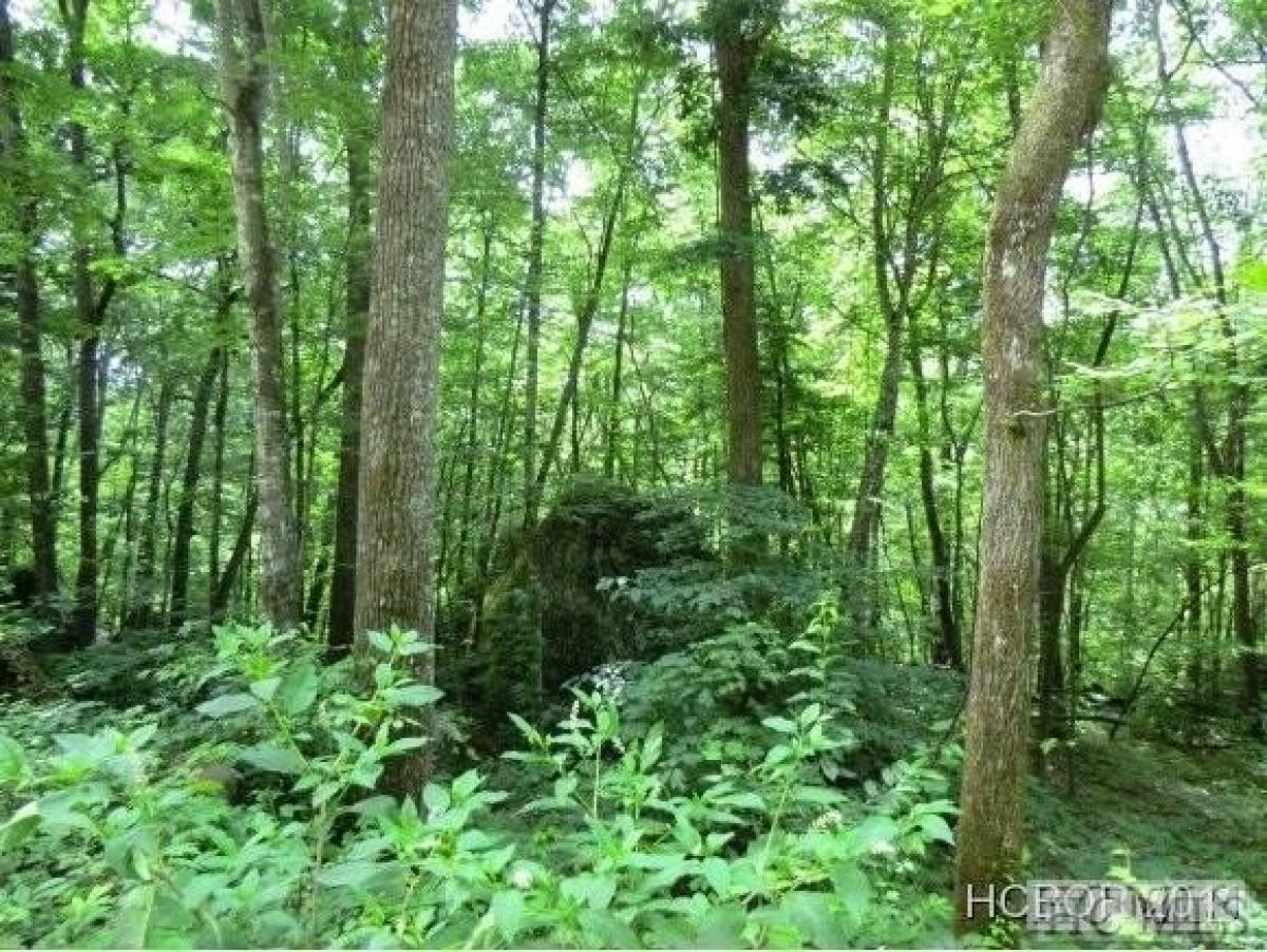Picture of Residential Land For Sale in Cullowhee, North Carolina, United States