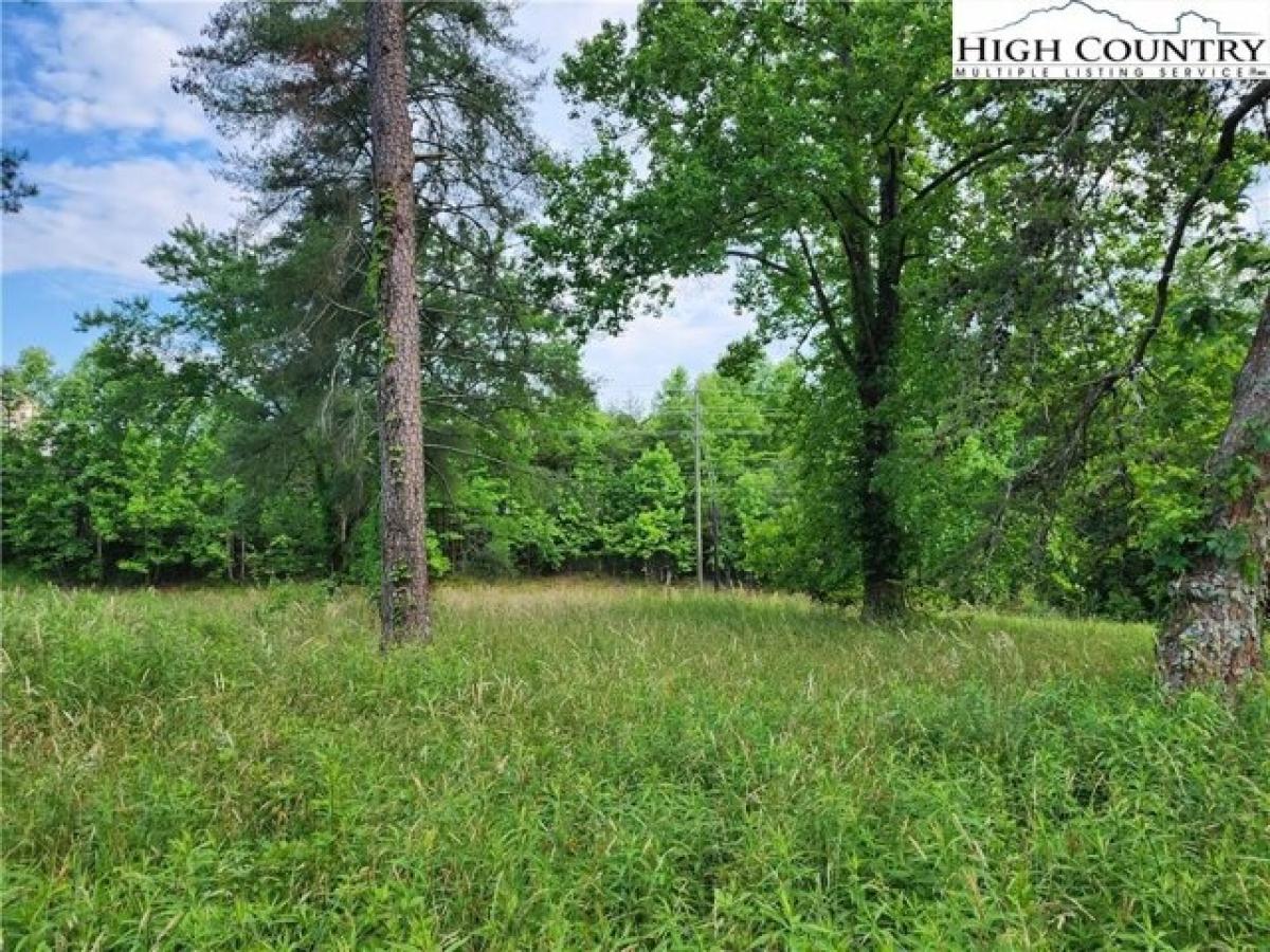 Picture of Residential Land For Sale in Wilkesboro, North Carolina, United States