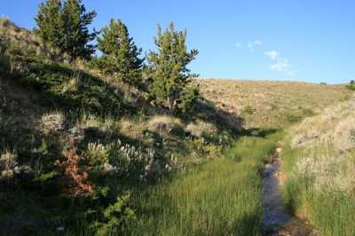 Residential Land For Sale in Belfry, Montana