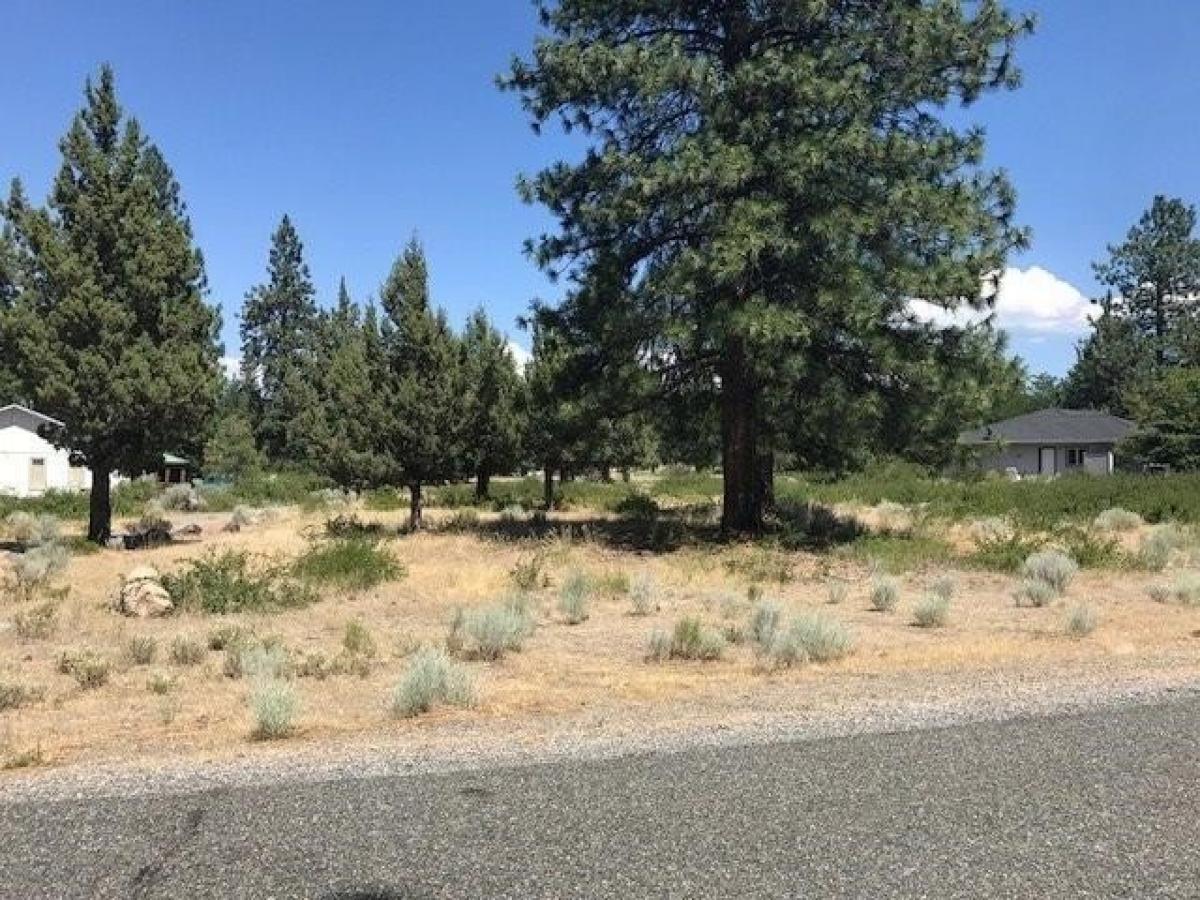 Picture of Residential Land For Sale in Weed, California, United States