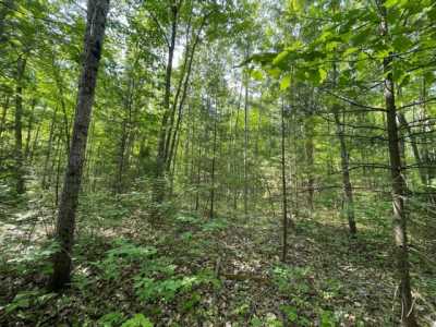 Residential Land For Sale in Minocqua, Wisconsin
