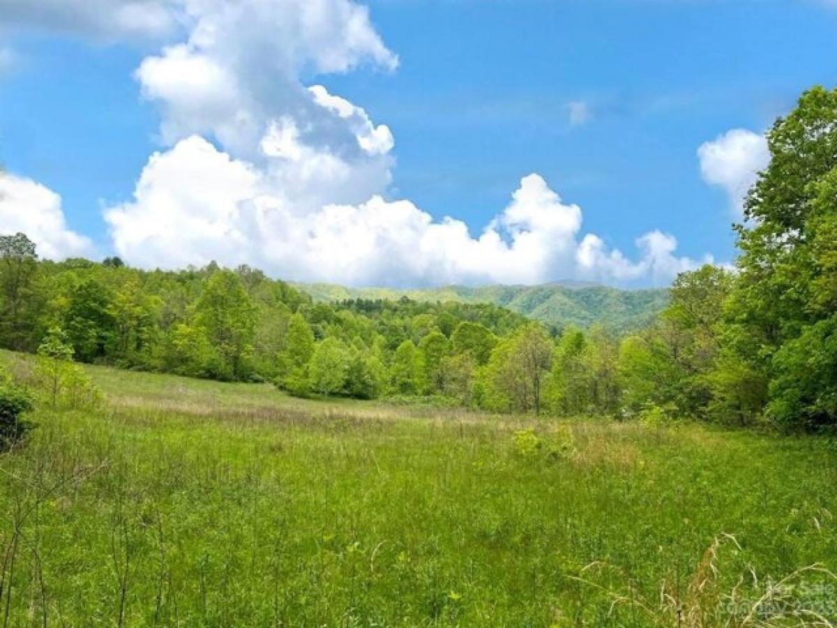 Picture of Residential Land For Sale in Hot Springs, North Carolina, United States