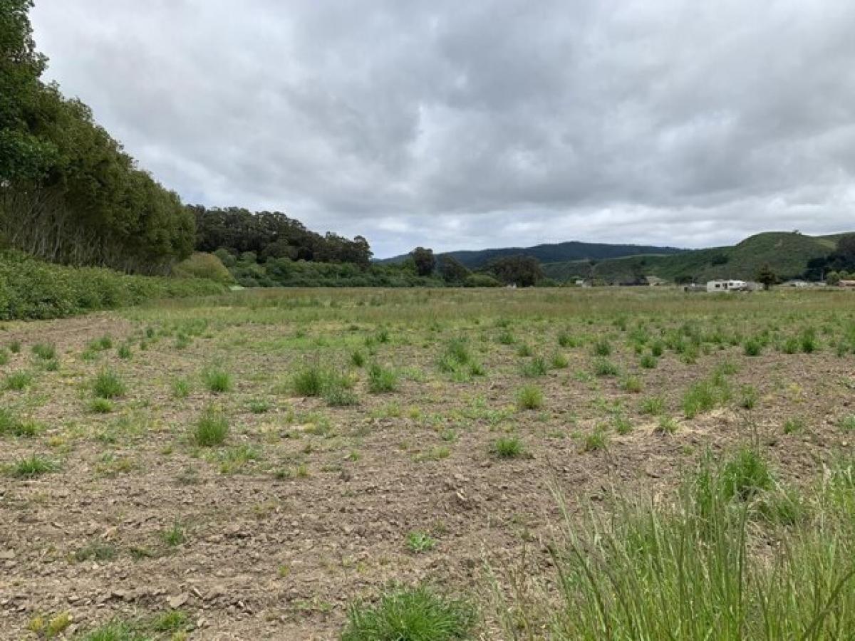 Picture of Residential Land For Sale in Pescadero, California, United States