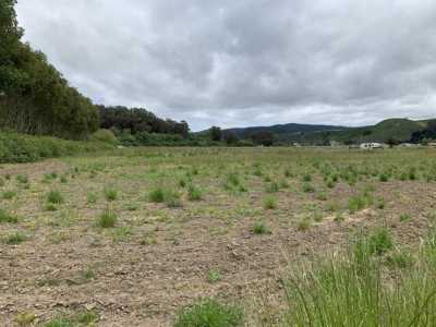 Residential Land For Sale in Pescadero, California