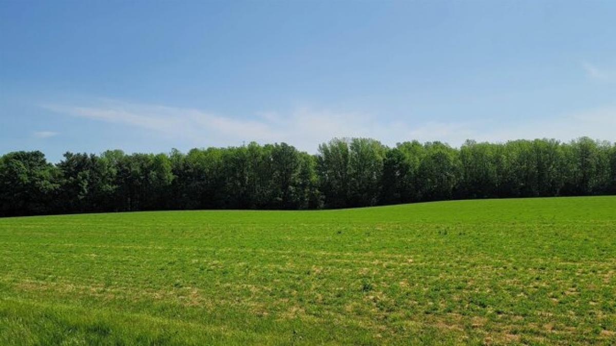 Picture of Residential Land For Sale in Denmark, Wisconsin, United States