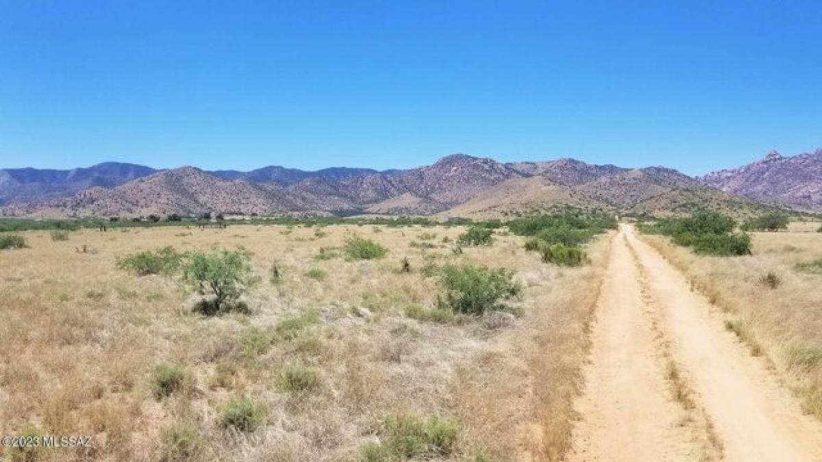 Picture of Residential Land For Sale in Pearce, Arizona, United States