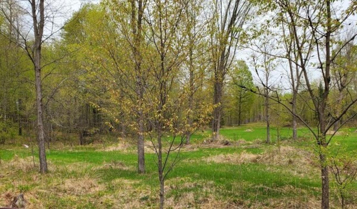 Picture of Residential Land For Sale in Long Lake, Wisconsin, United States