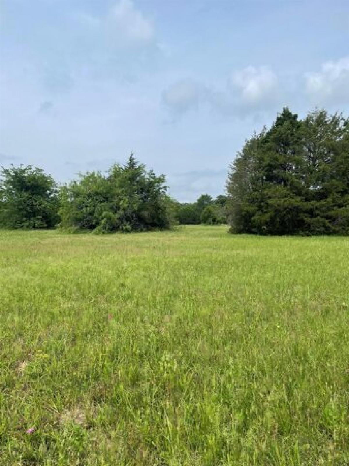 Picture of Residential Land For Sale in Kerens, Texas, United States