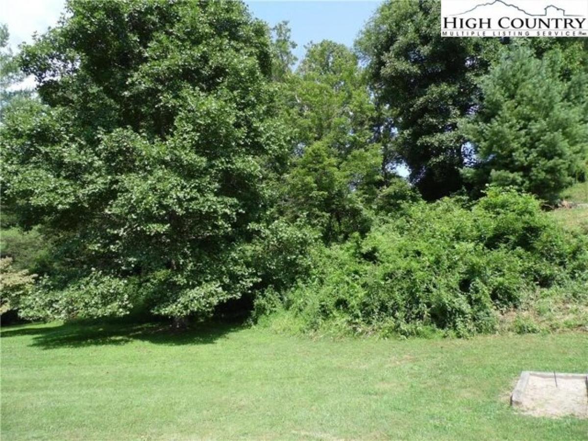 Picture of Residential Land For Sale in Sparta, North Carolina, United States