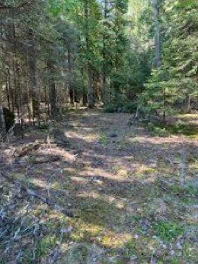 Residential Land For Sale in Hessel, Michigan