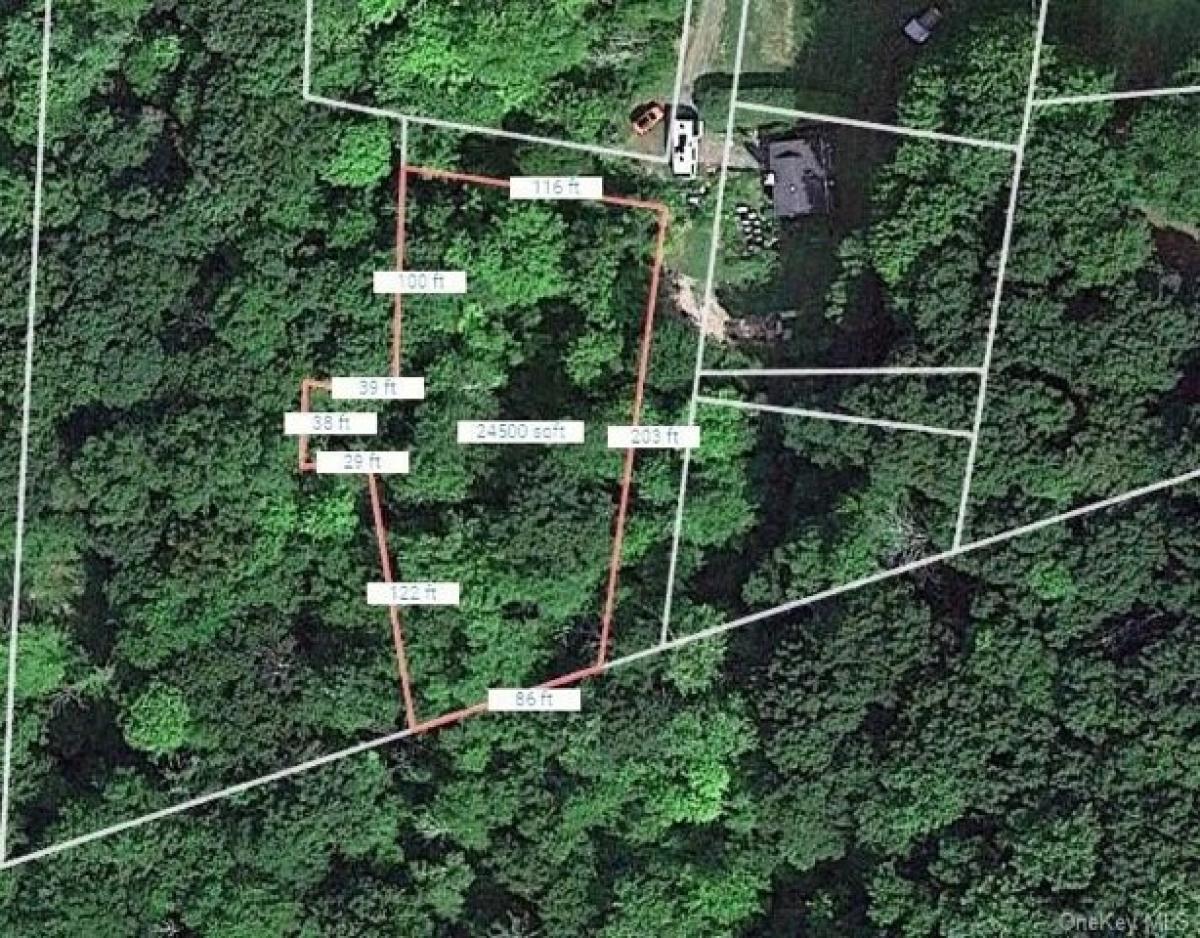 Picture of Residential Land For Sale in Mahopac, New York, United States