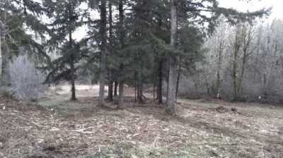 Residential Land For Sale in Rochester, Washington