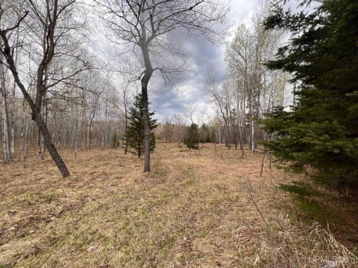 Picture of Residential Land For Sale in Iron Mountain, Michigan, United States