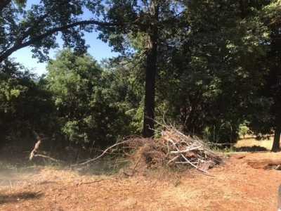 Residential Land For Sale in Pioneer, California