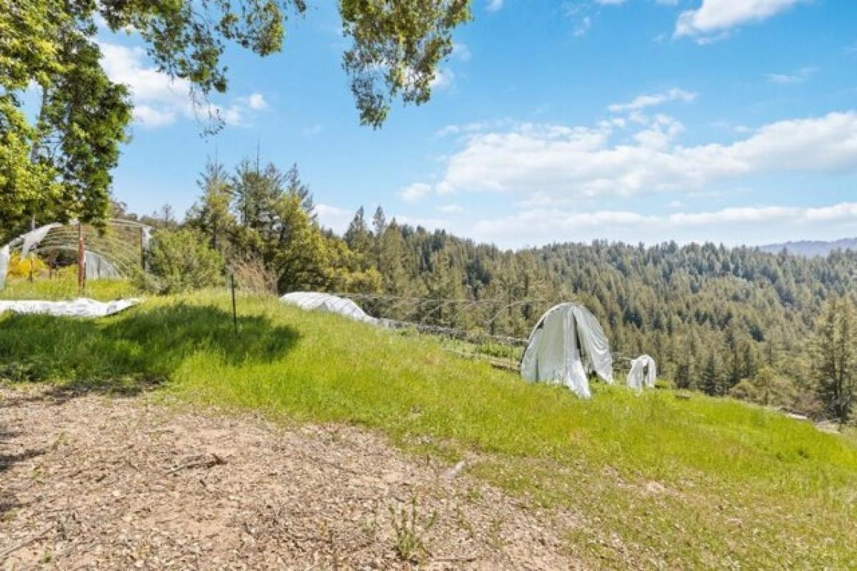 Picture of Home For Sale in Boulder Creek, California, United States