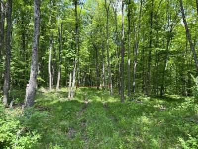 Residential Land For Sale in Iron River, Michigan