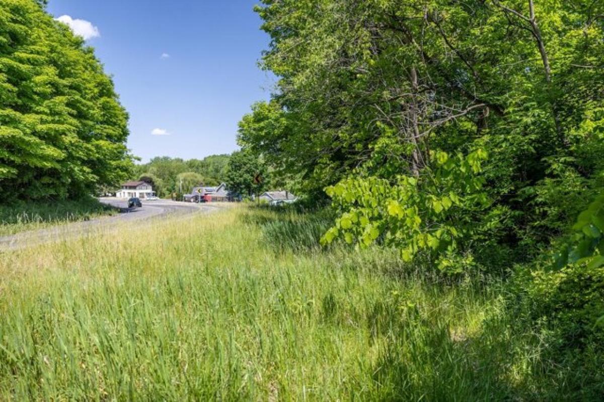 Picture of Residential Land For Sale in Ionia, Michigan, United States