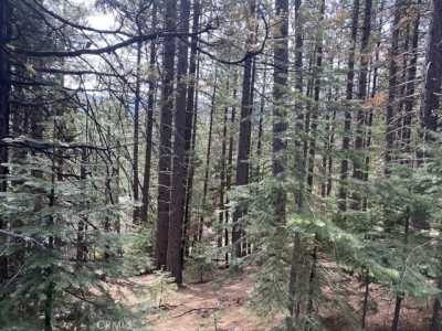 Residential Land For Sale in Mineral, California