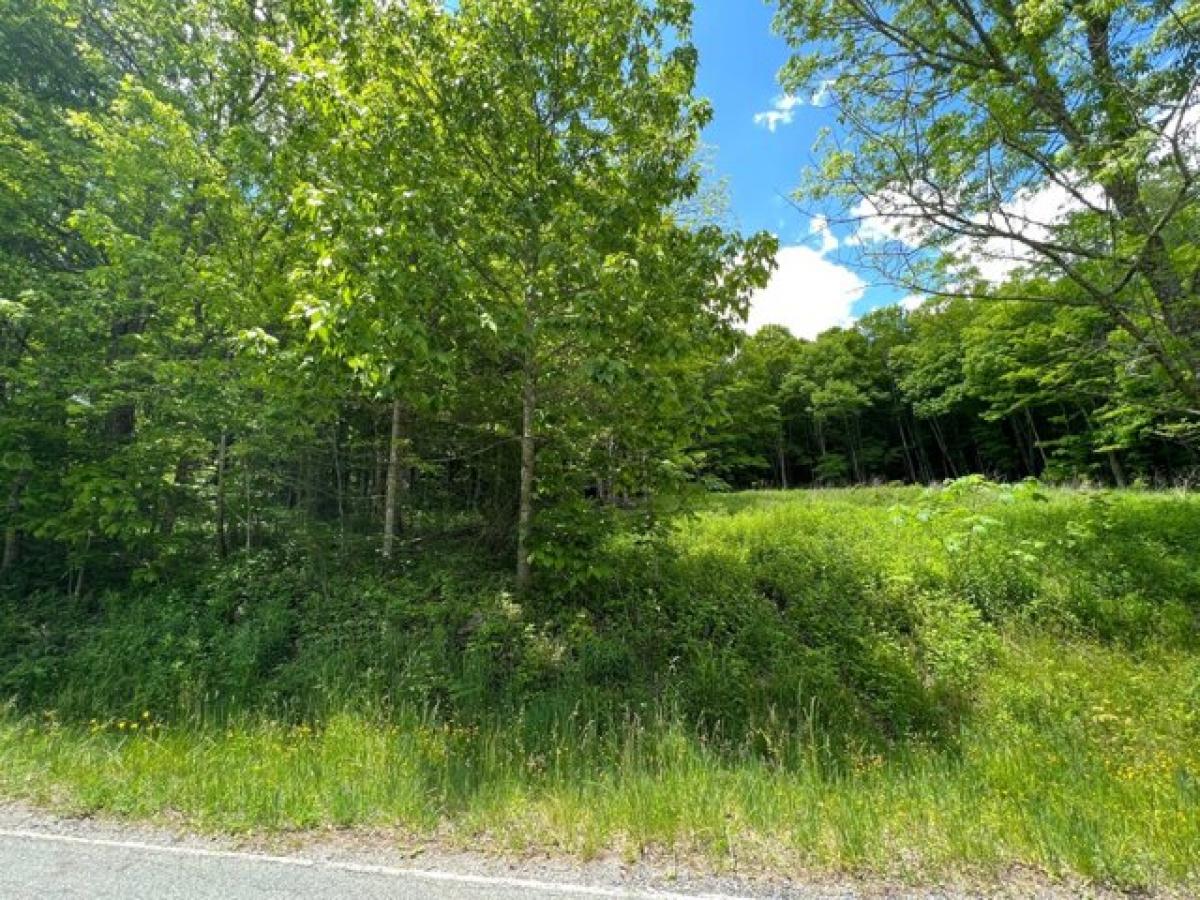 Picture of Residential Land For Sale in Newland, North Carolina, United States