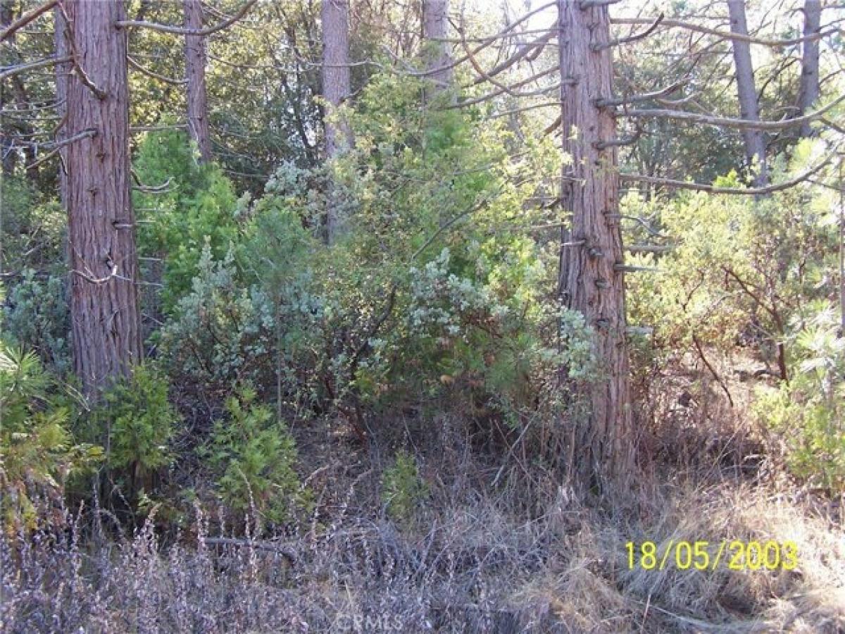 Picture of Residential Land For Sale in Oakhurst, California, United States