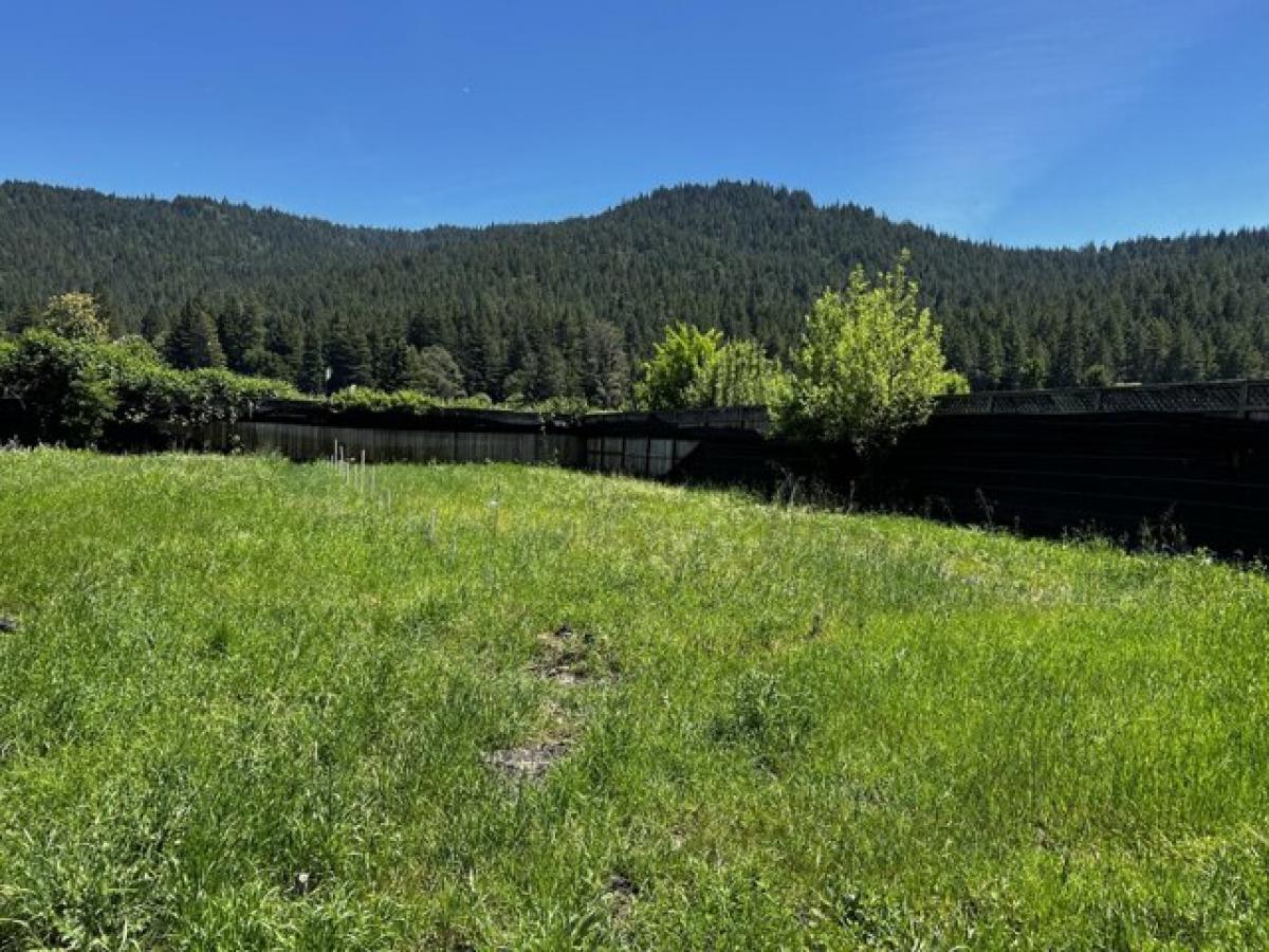 Picture of Residential Land For Sale in Myers Flat, California, United States