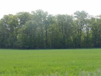 Residential Land For Sale in Hillsdale, Michigan