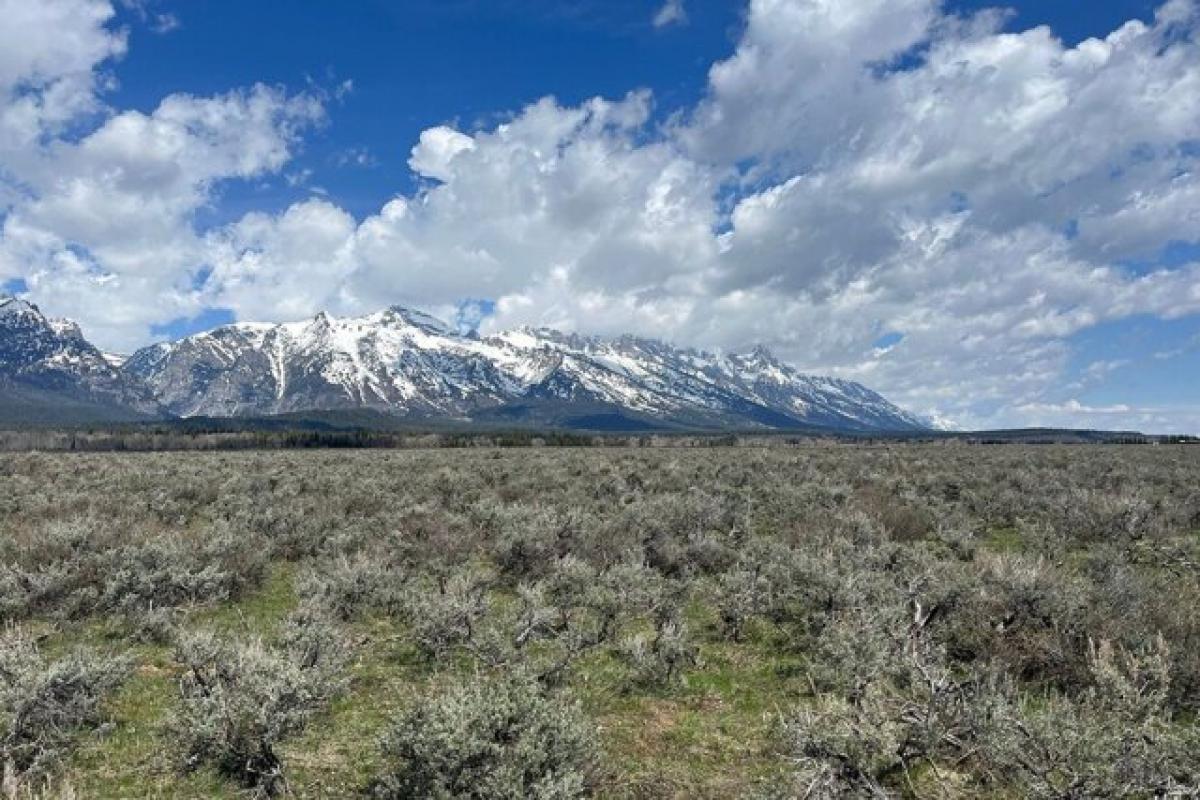 Picture of Residential Land For Sale in Jackson, Wyoming, United States