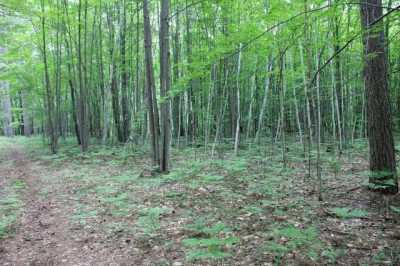 Residential Land For Sale in Abrams, Wisconsin