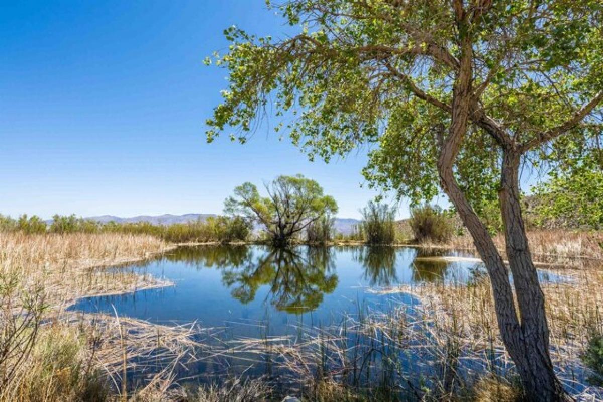 Picture of Residential Land For Sale in Olancha, California, United States