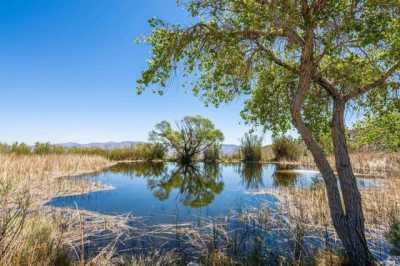 Residential Land For Sale in Olancha, California