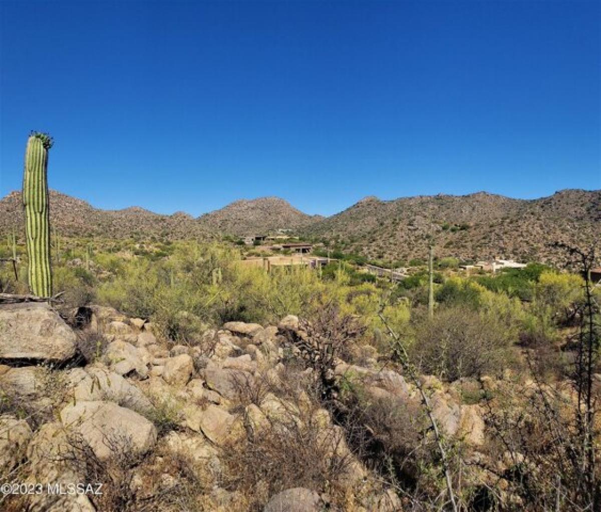 Picture of Residential Land For Sale in Marana, Arizona, United States