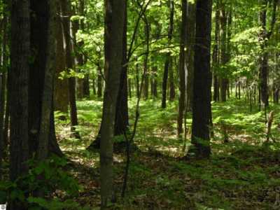 Residential Land For Sale in National City, Michigan