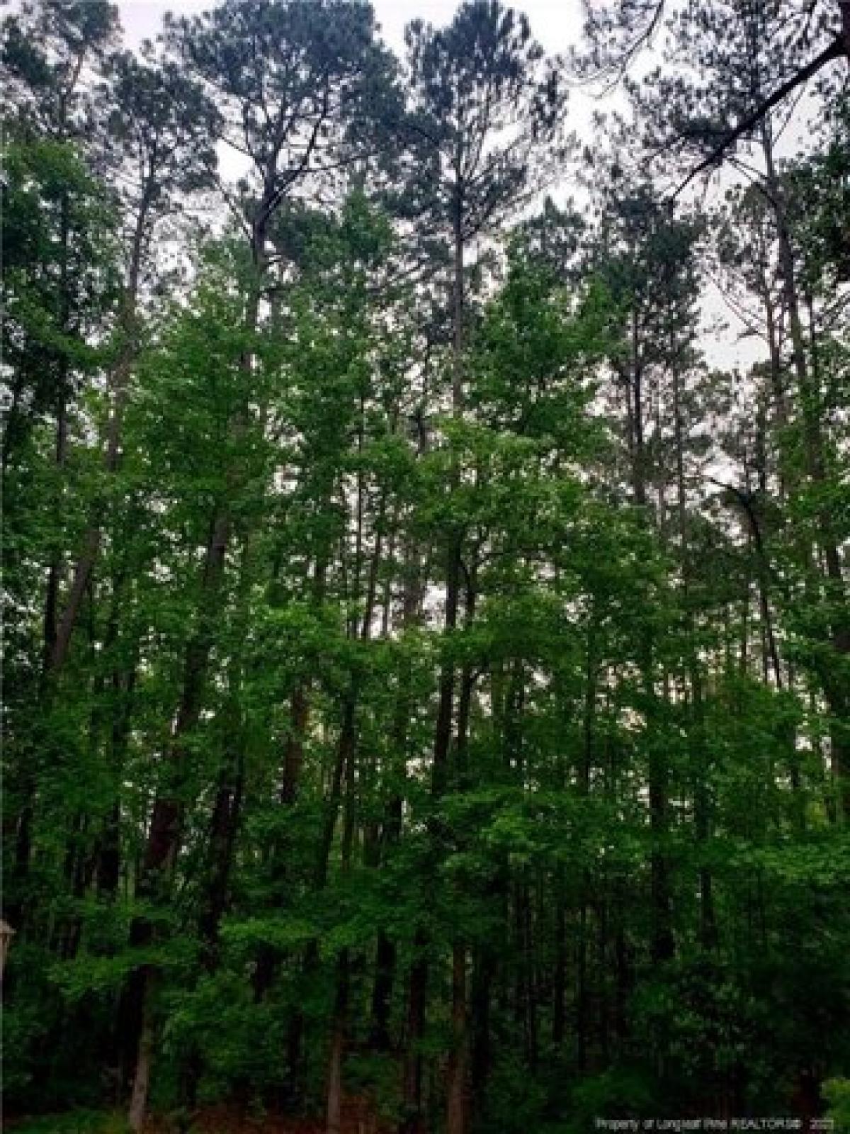 Picture of Residential Land For Sale in Hope Mills, North Carolina, United States