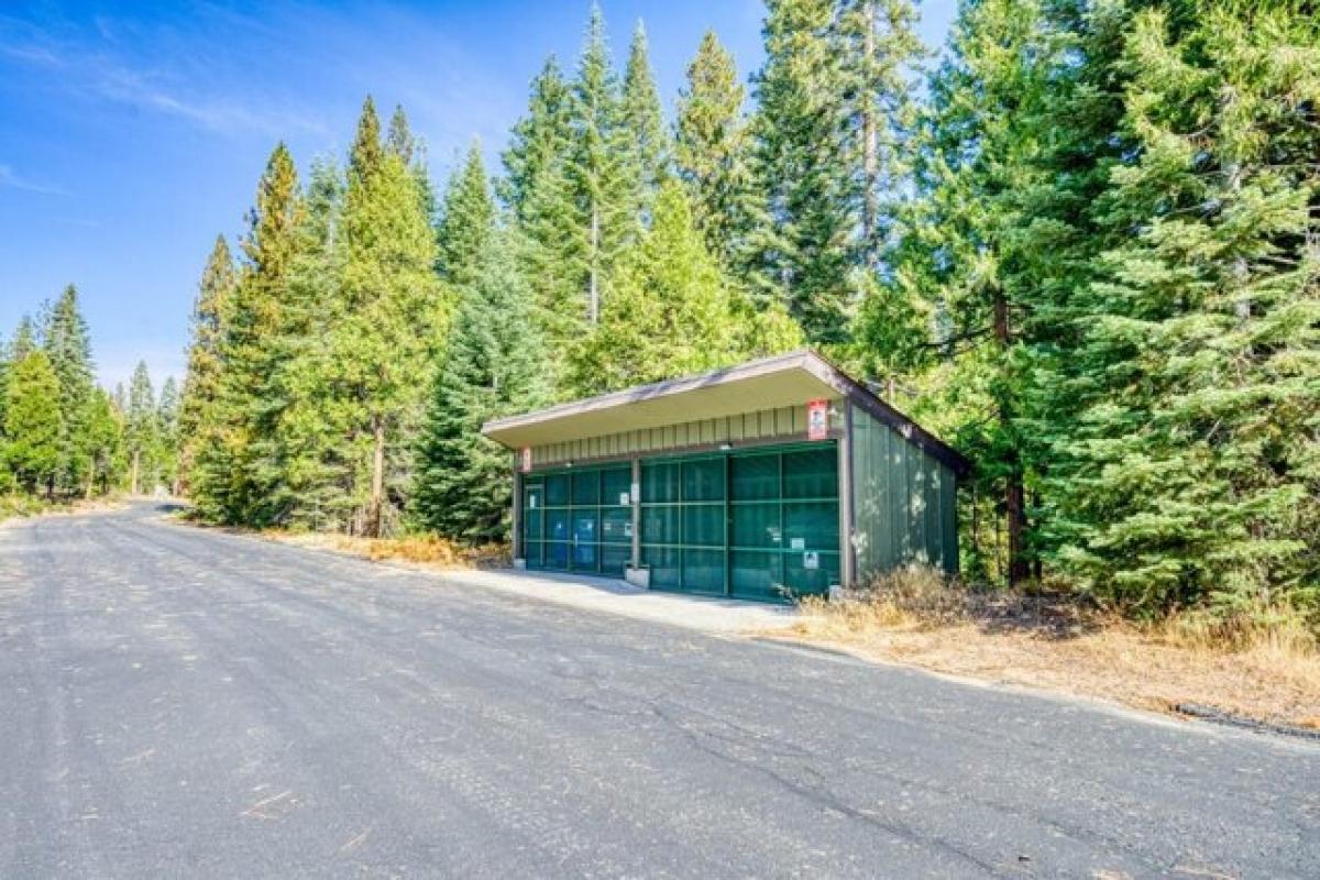 Picture of Residential Land For Sale in Shaver Lake, California, United States