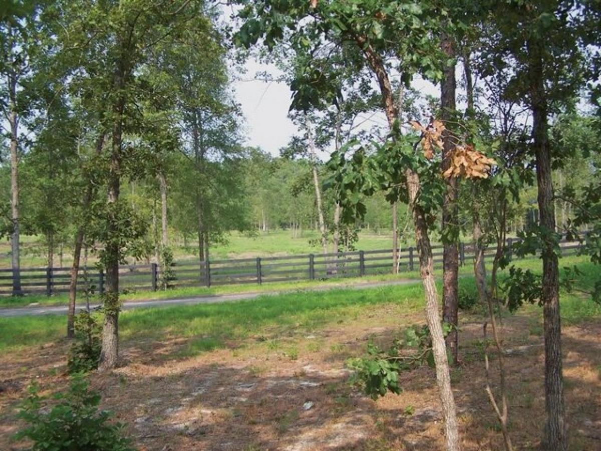 Picture of Residential Land For Sale in Aiken, South Carolina, United States