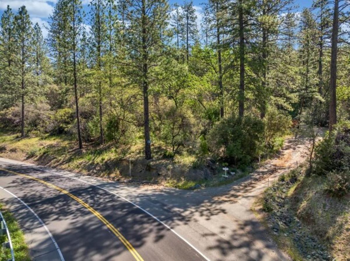 Picture of Residential Land For Sale in Rough and Ready, California, United States