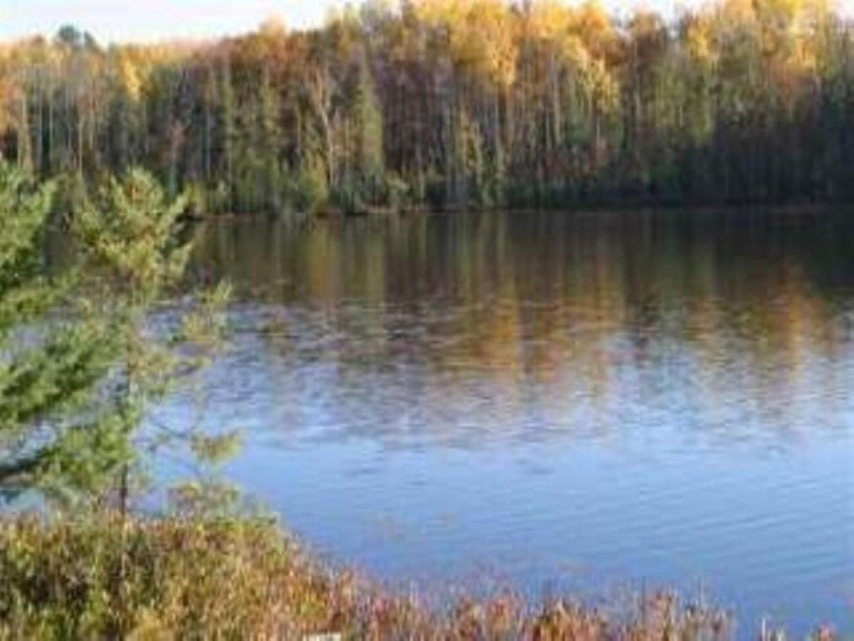 Picture of Residential Land For Sale in Lac du Flambeau, Wisconsin, United States
