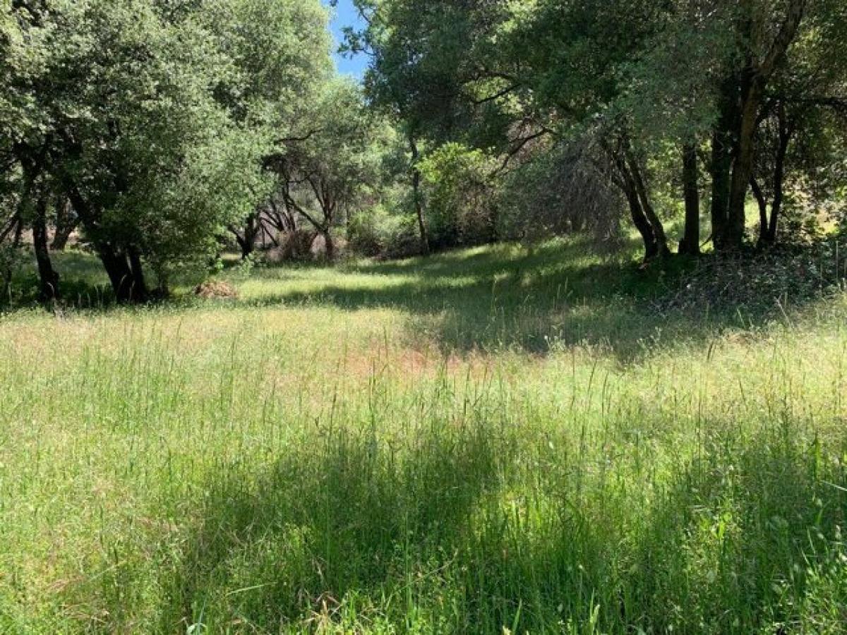 Picture of Residential Land For Sale in Placerville, California, United States