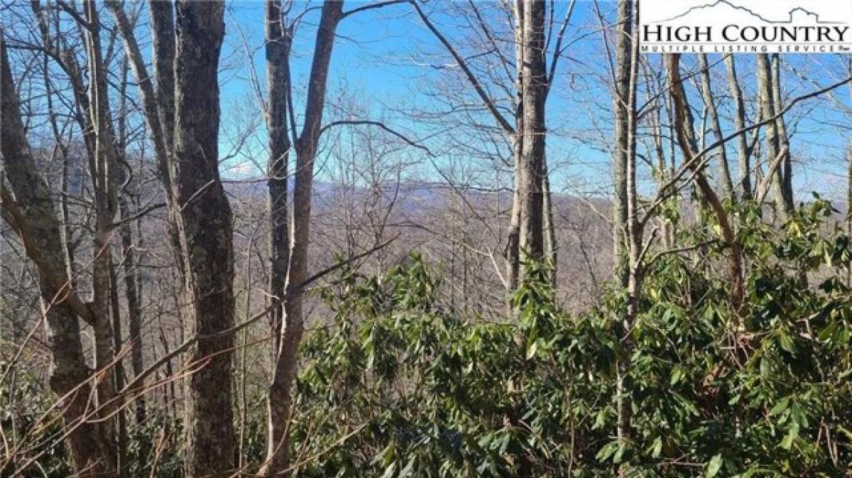 Picture of Residential Land For Sale in Banner Elk, North Carolina, United States