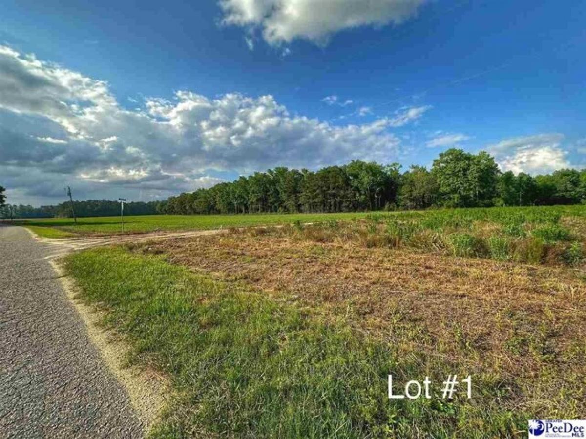 Picture of Residential Land For Sale in Hamer, South Carolina, United States