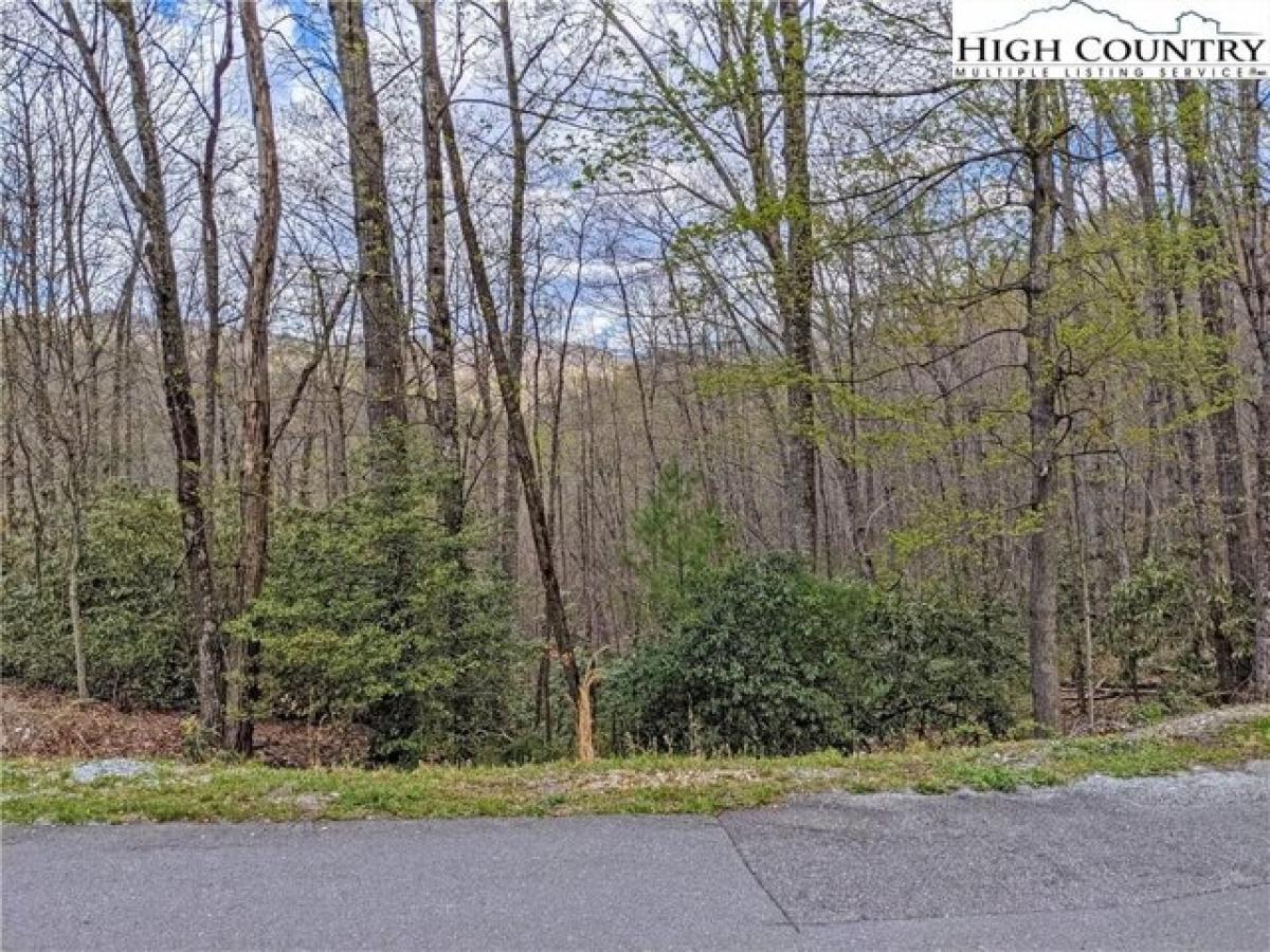 Picture of Residential Land For Sale in Deep Gap, North Carolina, United States