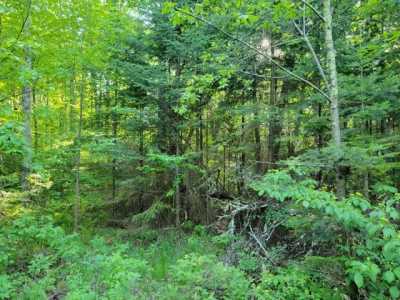 Residential Land For Sale in Gleason, Wisconsin