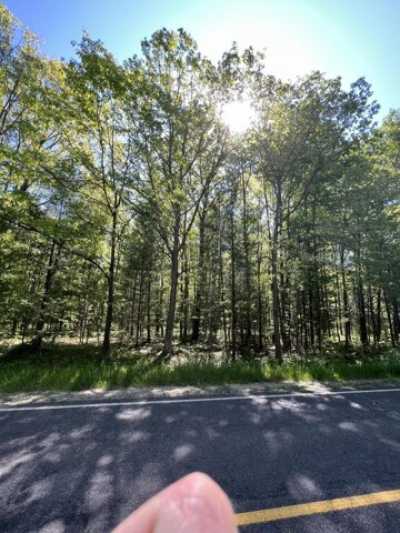 Residential Land For Sale in Wellston, Michigan