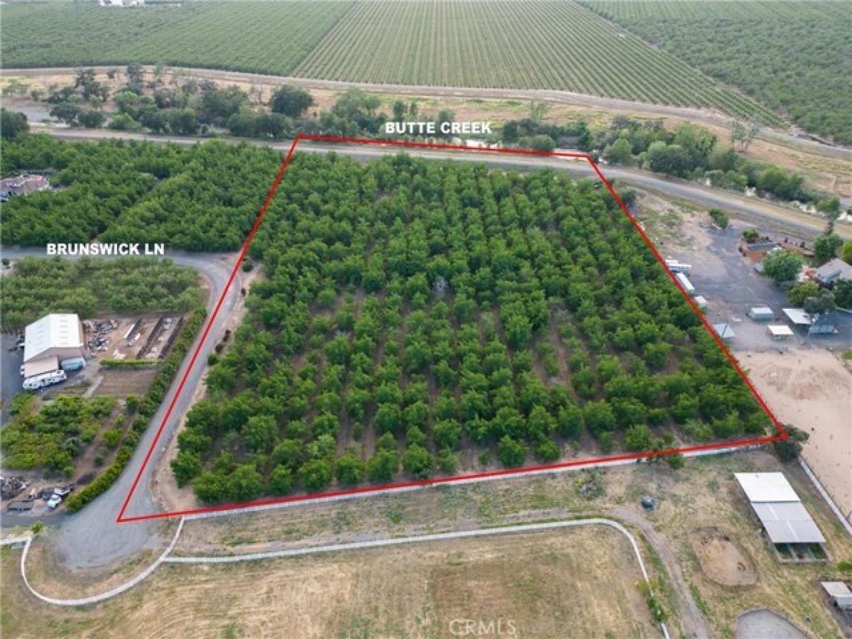 Picture of Residential Land For Sale in Durham, California, United States