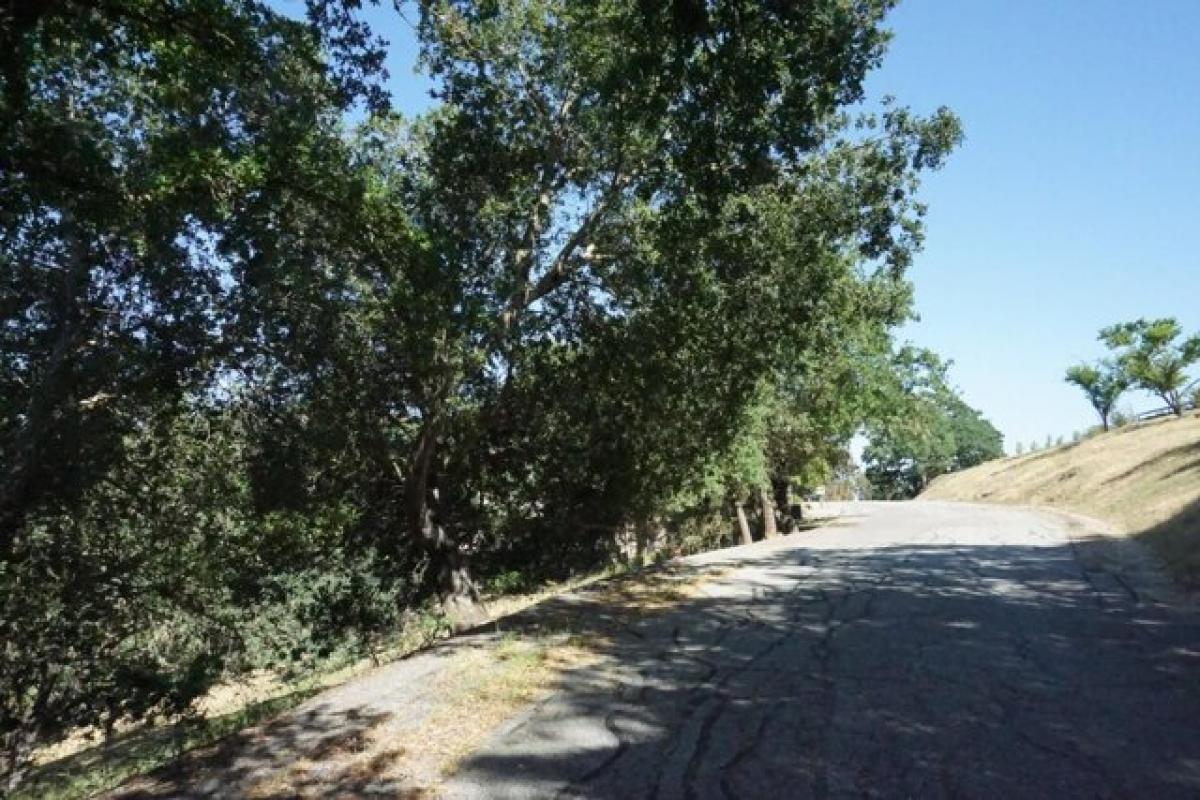 Picture of Residential Land For Sale in Morgan Hill, California, United States