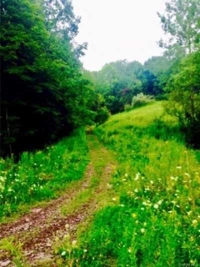 Residential Land For Sale in Liberty, New York