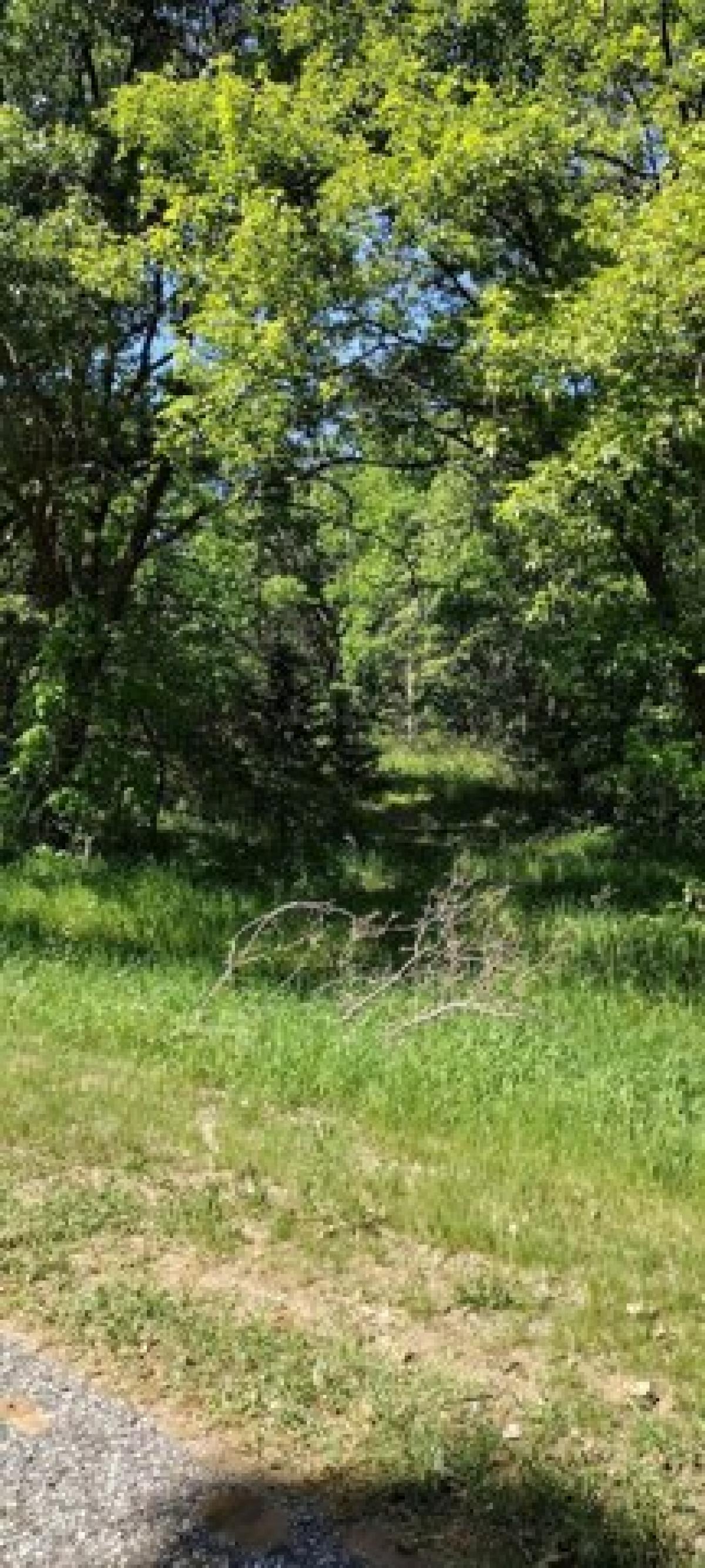 Picture of Residential Land For Sale in Wisconsin Dells, Wisconsin, United States