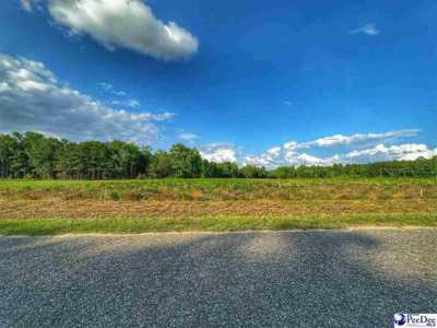 Residential Land For Sale in Hamer, South Carolina