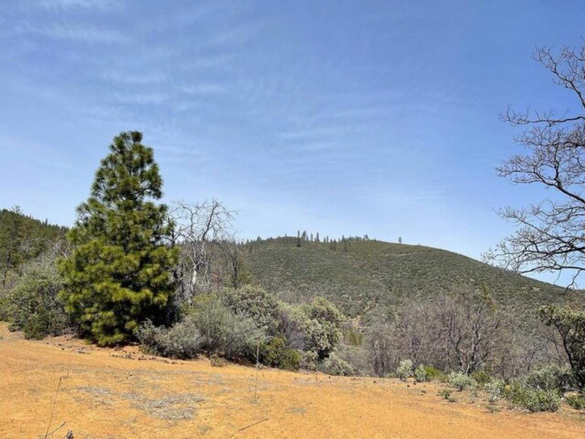 Picture of Residential Land For Sale in Yreka, California, United States