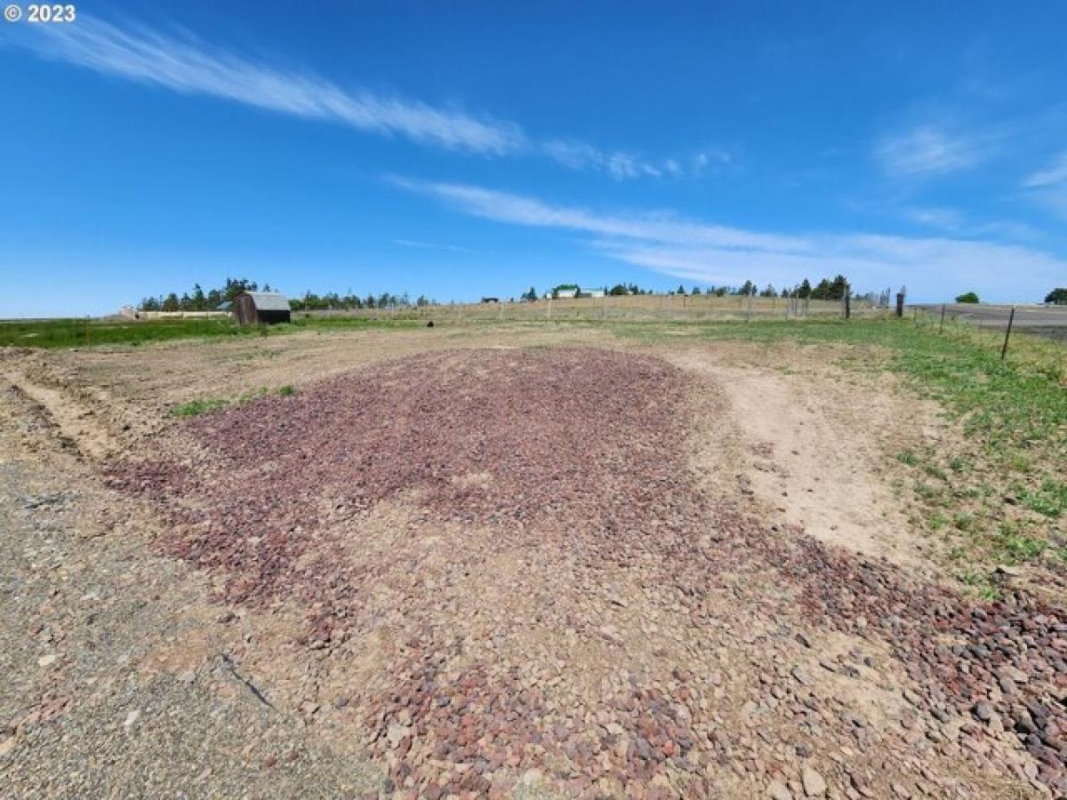 Picture of Residential Land For Sale in Lyle, Washington, United States